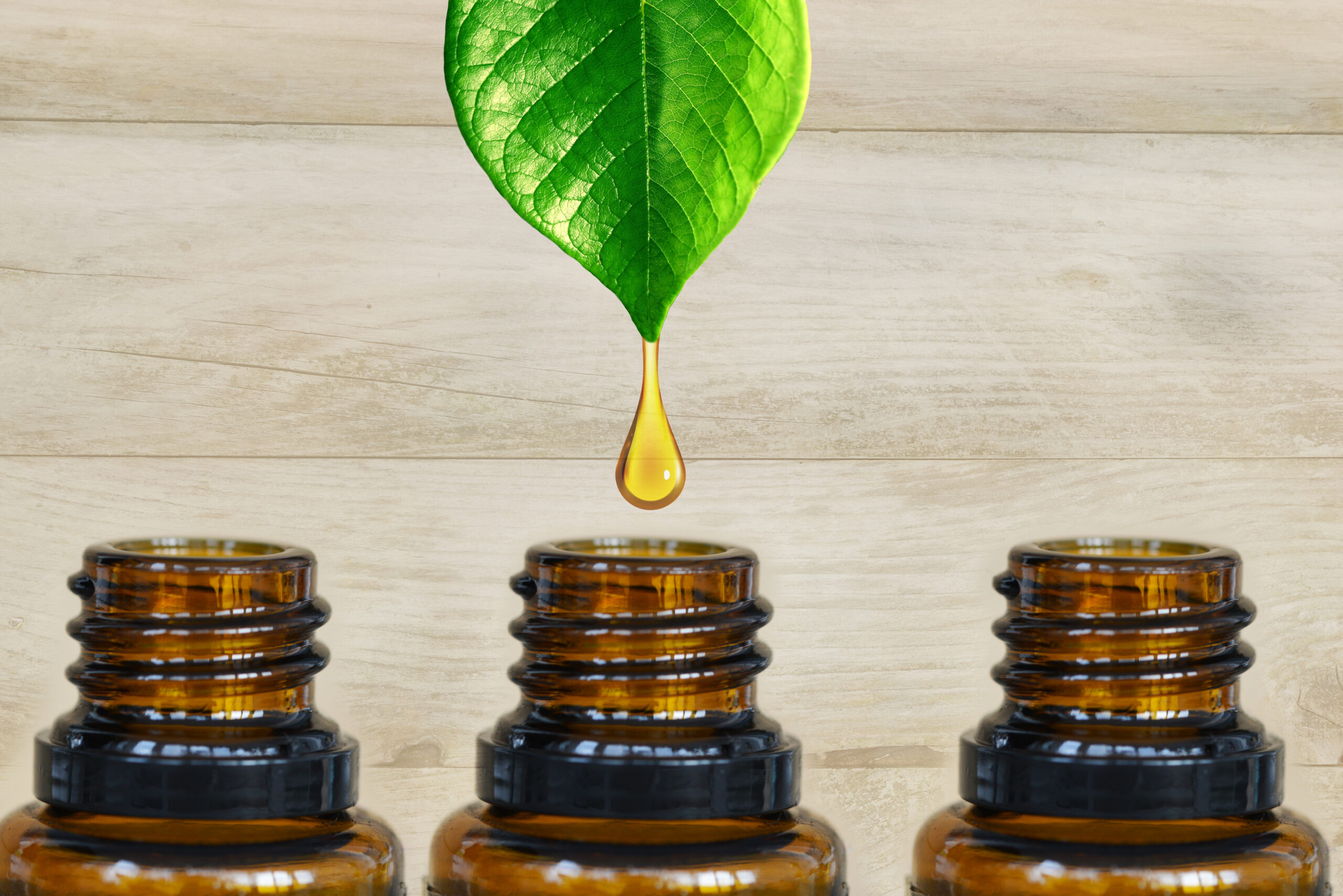 Homöopathie Dr. Andrea Kloos