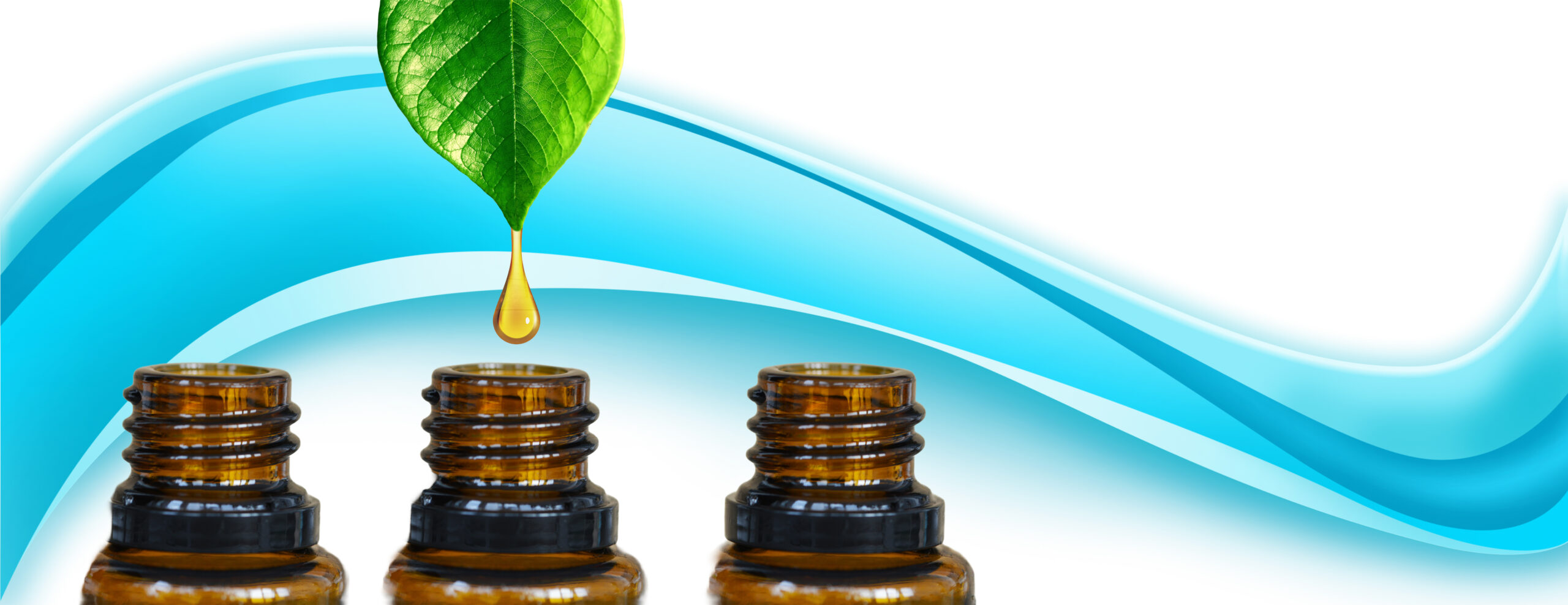 Privatpraxis Homöopathie Dr. Andrea Kloos