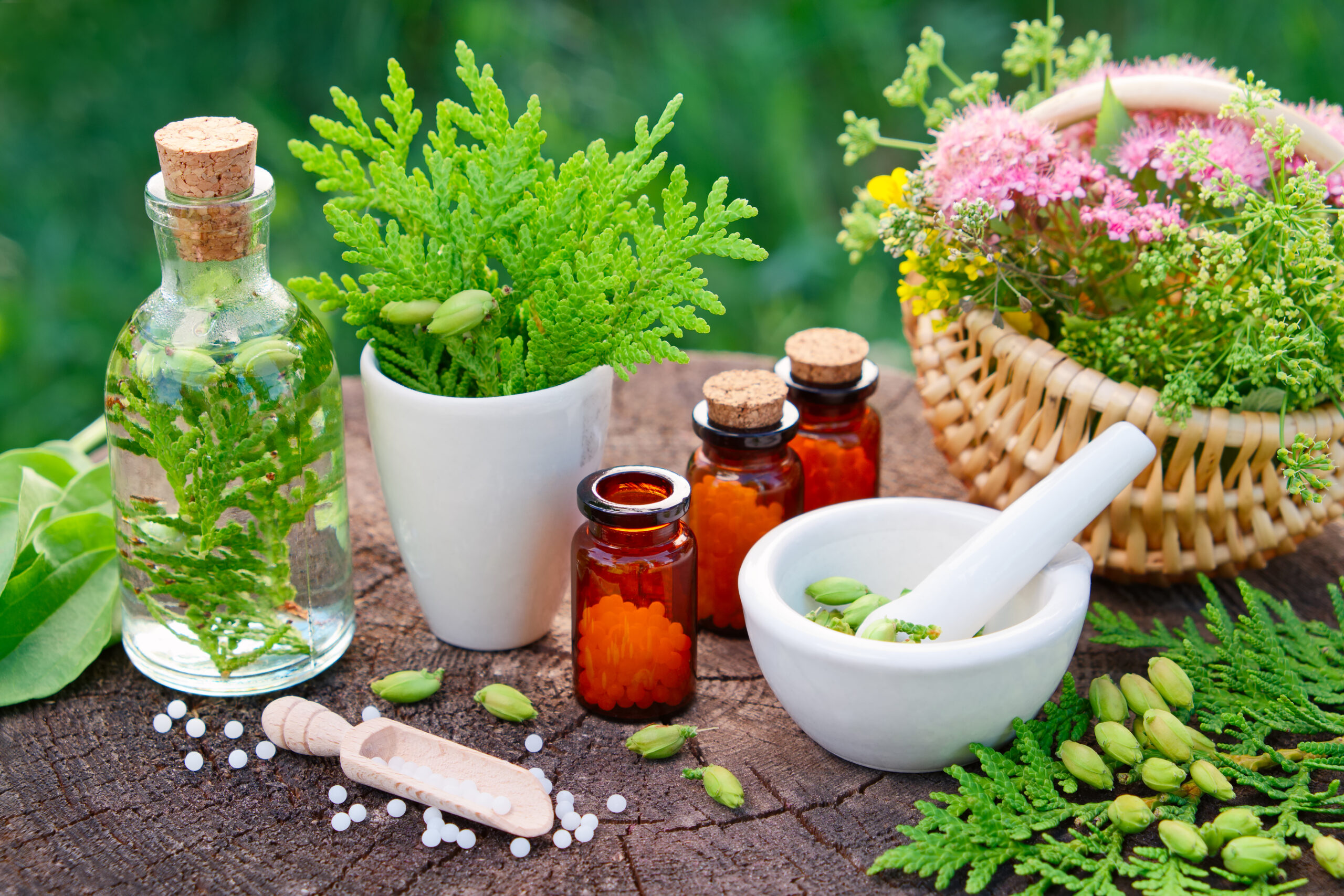 Homöopathie Dr. Andrea Kloos