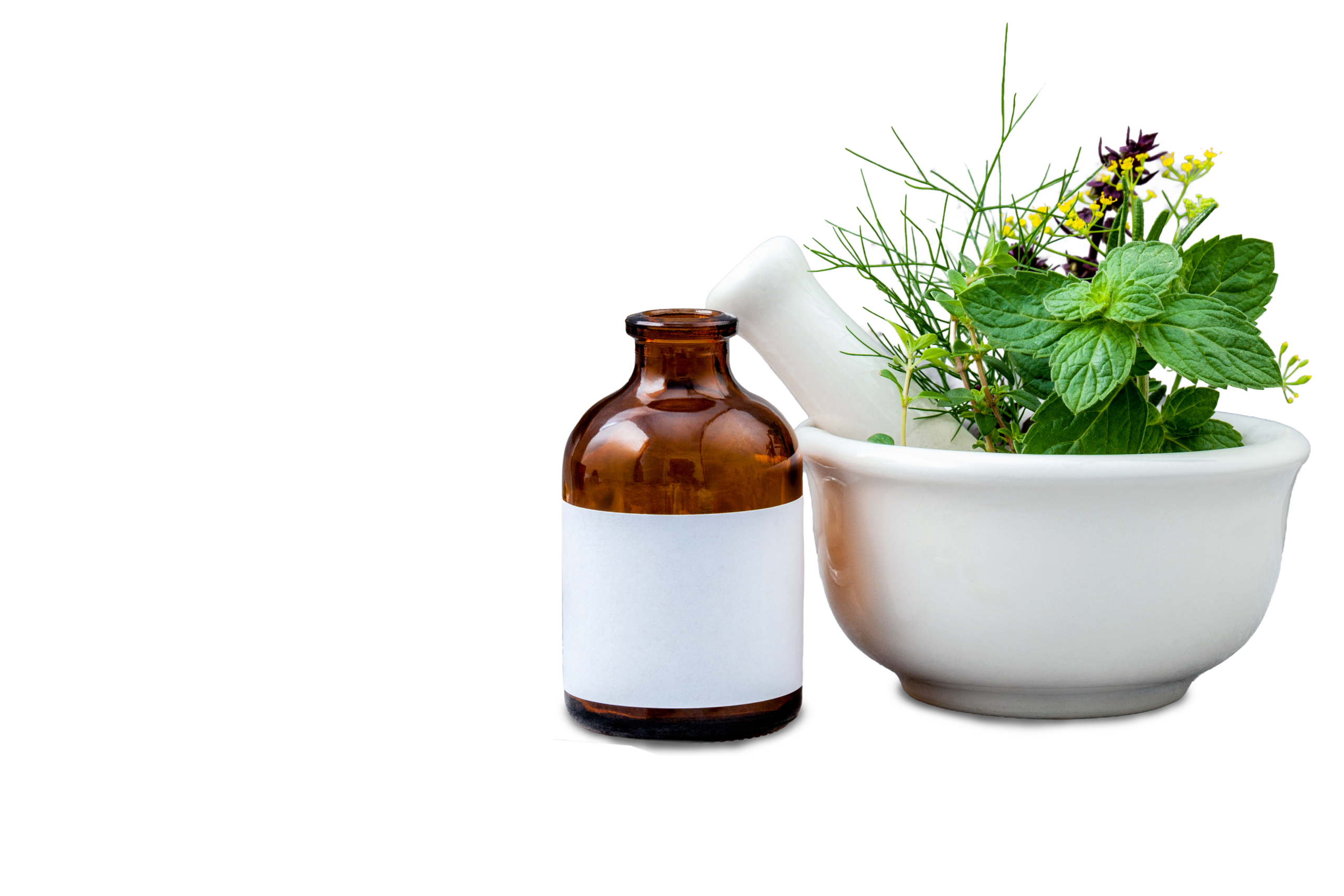 Homöopathie Dr. Andrea Kloos